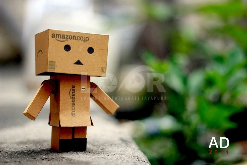 Danbo jalan-jalan