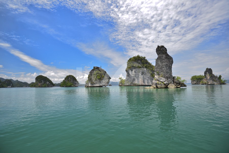 batu karang