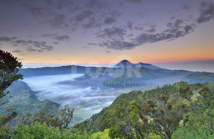 si bromo