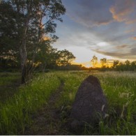 " Senja Di Taman Nasional Wasur "