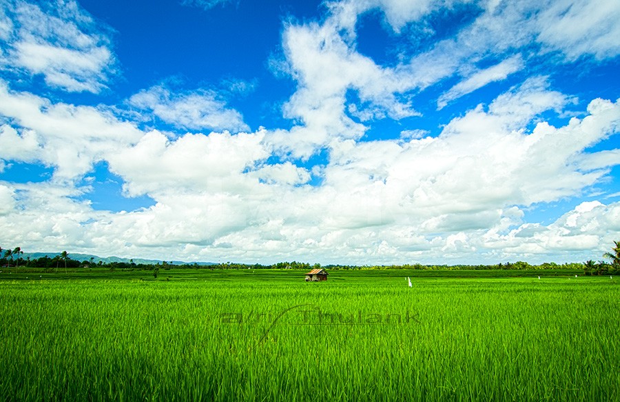 Kampungqu, Kenanganqu