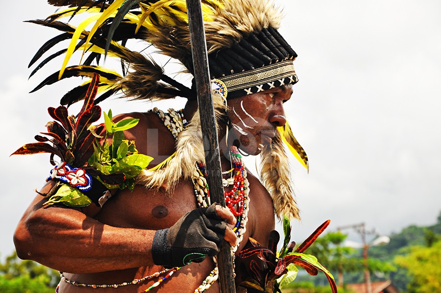 Tatapan Budaya